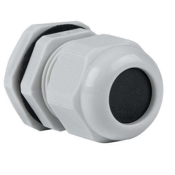 картинка Сальник PG16 d10-14мм (d отверст. 21мм) IP54 PROxima EKF plc-pg-16-r