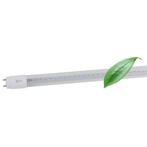 картинка Лампа светодиодная FITO-18W-RB-Т8-G13-NL 18Вт T8 линейная 96LED 2835 IP20 35000ч для растений красн./син. спектр стекло Эра Б0042990