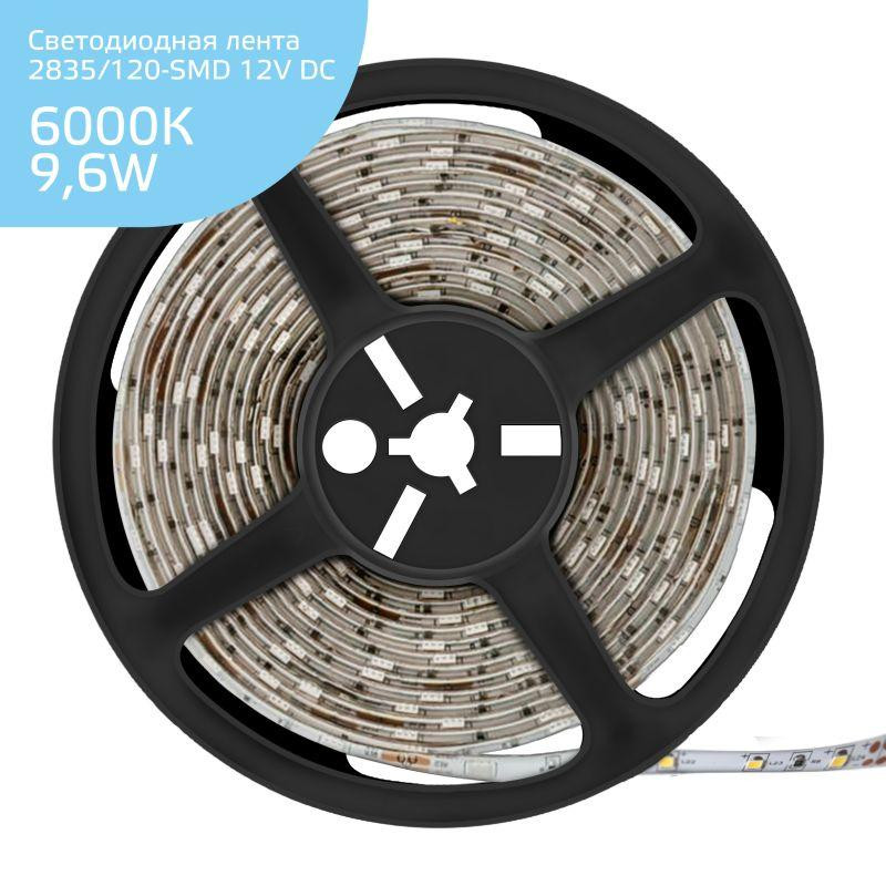 картинка Лента светодиодная Elementary 2835/120-SMD 9.6Вт/м 6500К холод. бел. IP20 340лм/м 12В 8мм (уп.5м) GAUSS 355000310