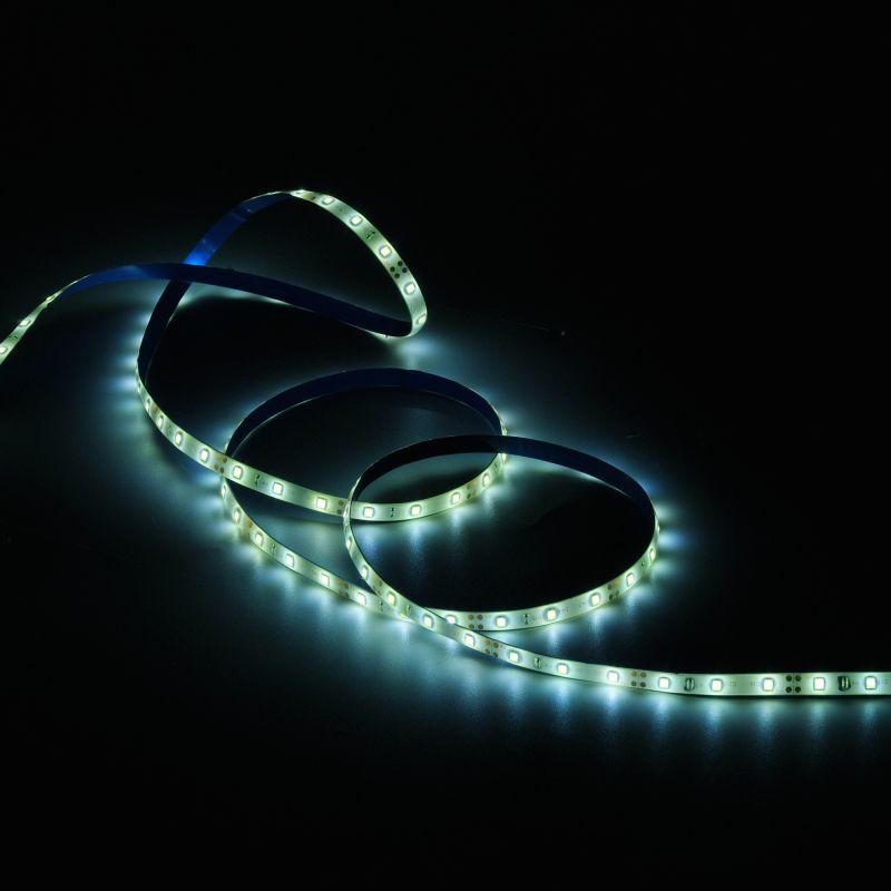 картинка Лента светодиодная Elementary 2835/60-SMD 4.8Вт/м 6500К холод. бел. IP66 150лм/м 12В 8мм (уп.5м) GAUSS 356000305