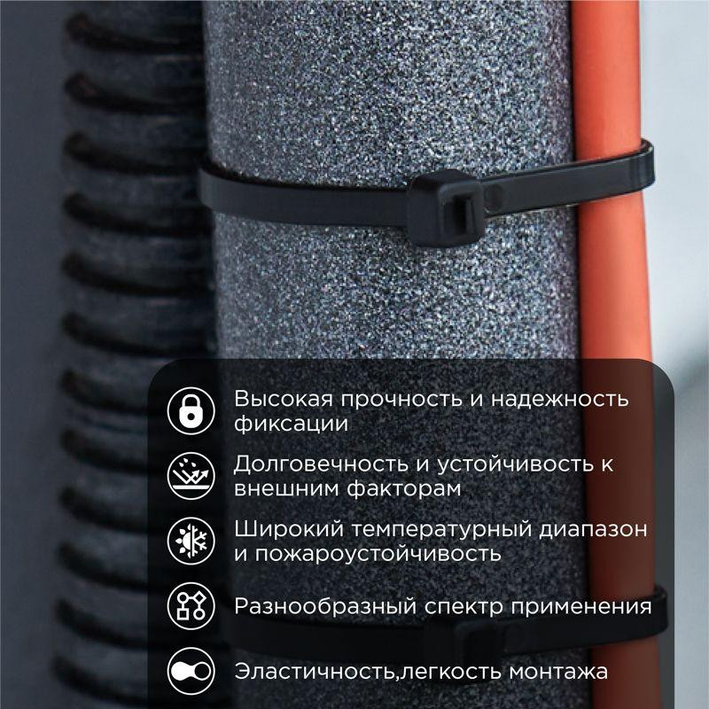 картинка Хомут кабельный 2.5х200 нейл. черн. (уп.100шт) Rexant 07-0201-4