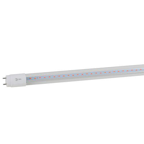 картинка Лампа светодиодная FITO-18W-RB-Т8-G13-NL 18Вт T8 линейная 96LED 2835 IP20 35000ч для растений красн./син. спектр стекло Эра Б0042990