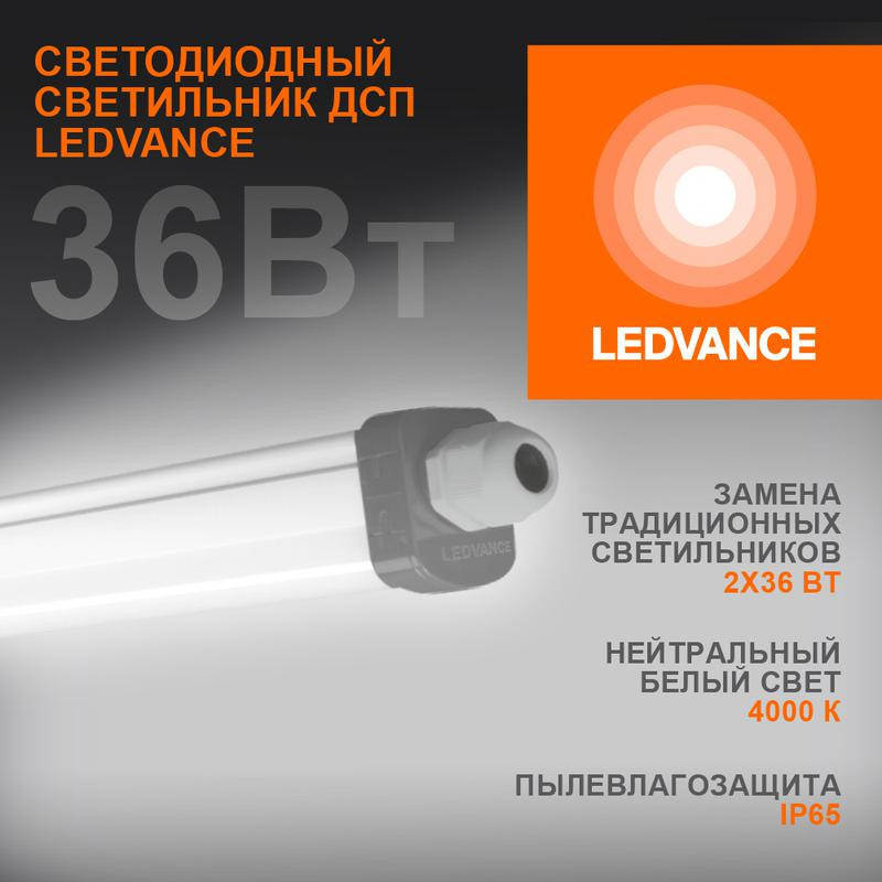 картинка Светильник светодиодный Eco Class Damp Proof Slim 36Вт 4000К IP65 3700лм 1.2м ДСП промышленный накладной/подвесной сер. (аналог ЛСП) LEDVANCE 4058075169128