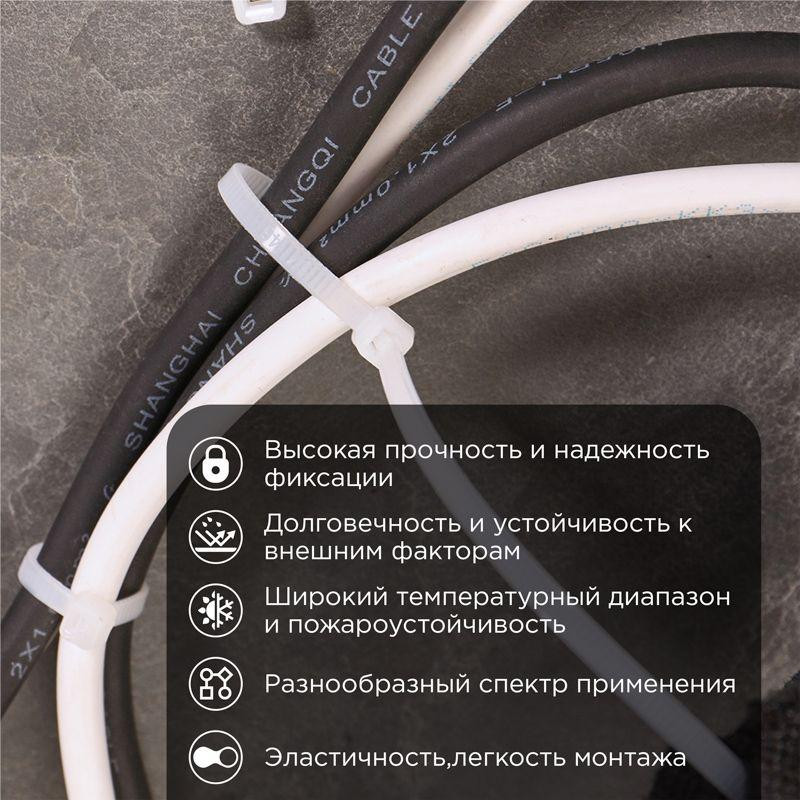 картинка Хомут кабельный 7.6х250 нейл. бел. (уп.100шт) Rexant 07-0252
