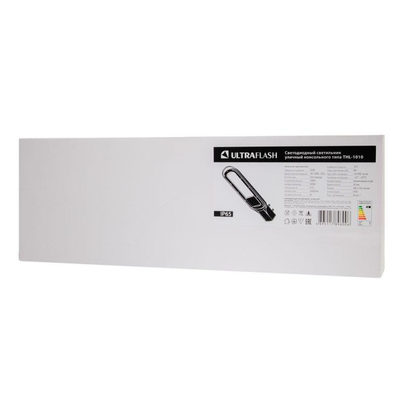 Светильник уличный 100 Вт THL-1010 Ultraflash 14965